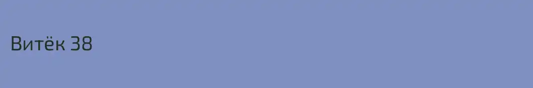 Витёк 38